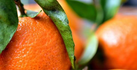 5 Redenen Waarom Vers Fruit Onmisbaar is in Jouw Dagelijkse Routine